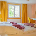 Leidenschaft Und In Triberg
