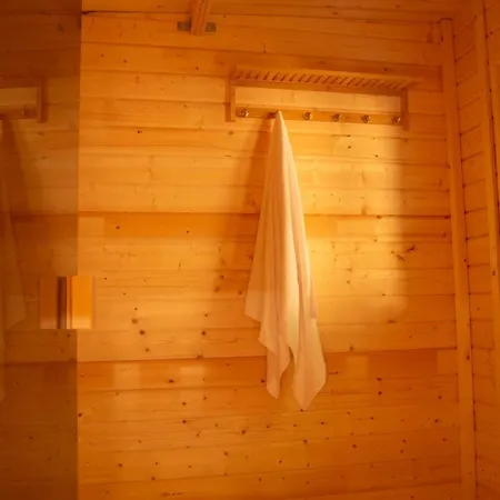 Apartment Wellnessoase Mitten In Triberg *
